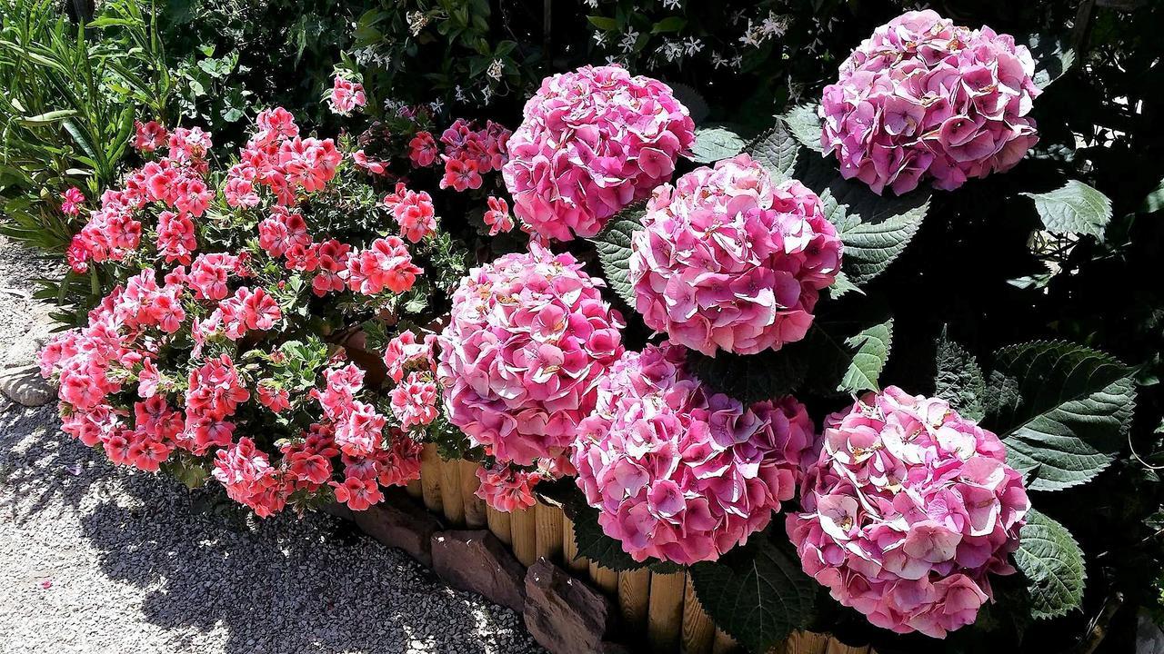Вилла "Sa Domo De Sos Aranzos" Санта-Мария-ла-Пальма Экстерьер фото