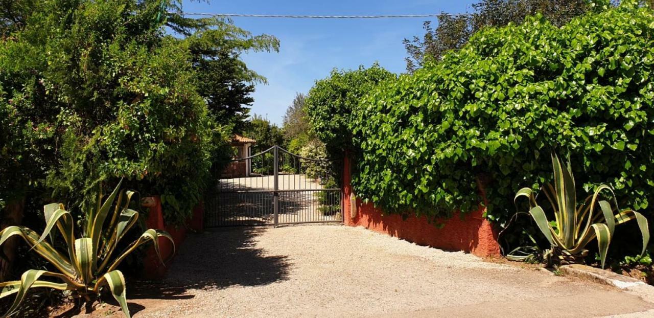 Вилла "Sa Domo De Sos Aranzos" Санта-Мария-ла-Пальма Экстерьер фото